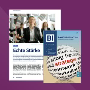 Titelbild_Veröffentlichung_BI1225